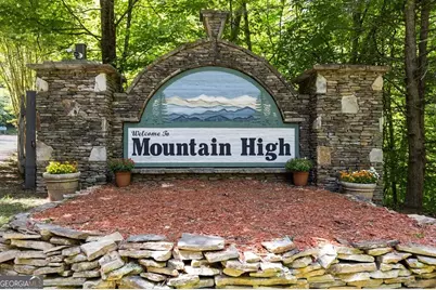 115 Mountain High Drive, Mineral Bluff, GA 30559 - Photo 47
