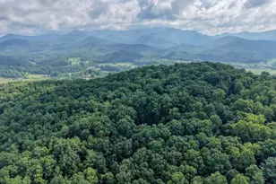 549 Cook Mountain Dr, Blairsville, GA 30512 - Photo 65