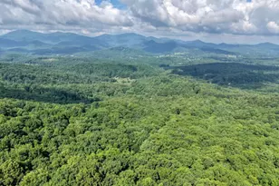 549 Cook Mountain Dr, Blairsville, GA 30512 - Photo 67