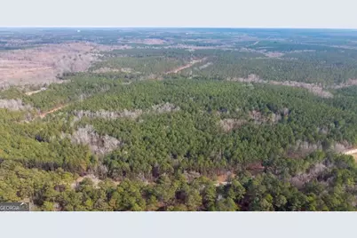 0 Saint Mary's Road #UNIT A, Crawfordville, GA 30631 - Photo 3