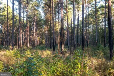 0 Old Savannah Road #TRACT 1, Millen, GA 30442 - Photo 7