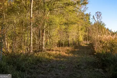 0 Old Savannah Road #TRACT 1, Millen, GA 30442 - Photo 9