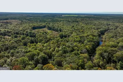 0 Old Savannah Road #TRACT 1, Millen, GA 30442 - Photo 11