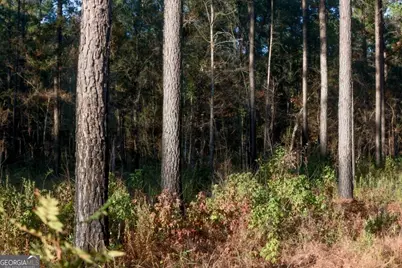 0 Scarboro Landing Road #TRACT 1, Millen, GA 30442 - Photo 7