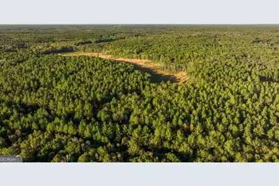 0 Scarboro Landing Road #TRACT 1, Millen, GA 30442 - Photo 19