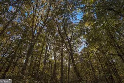 0 Old Savannah Road #TRACT 1, Millen, GA 30442 - Photo 3