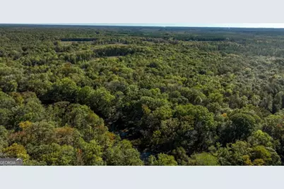 0 Old Savannah Road #TRACT 1, Millen, GA 30442 - Photo 13