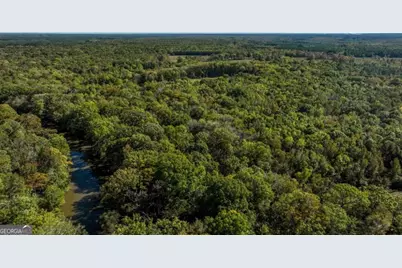 0 Scarboro Landing Road #TRACT 1, Millen, GA 30442 - Photo 13