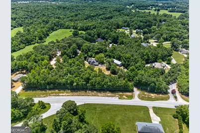 1070 Cannon Bridge Road, Demorest, GA 30535 - Photo 87