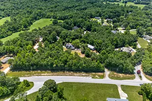 1070 Cannon Bridge Rd, Demorest, GA 30535 - Photo 87