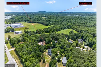 1070 Cannon Bridge Road, Demorest, GA 30535 - Photo 95
