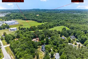 1070 Cannon Bridge Rd, Demorest, GA 30535 - Photo 95