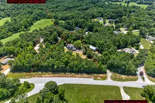 1070 Cannon Bridge Rd, Demorest, GA 30535 - Photo 93