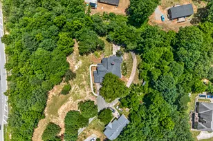 1070 Cannon Bridge Rd, Demorest, GA 30535 - Photo 85