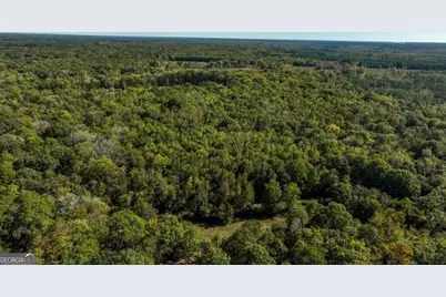 2 Scarboro Landing Road, Millen, GA 30442 - Photo 11