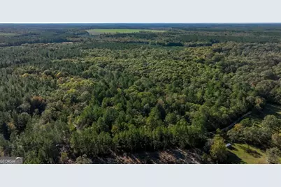 2 Old Savannah Road #TRACT 2, Millen, GA 30442 - Photo 13