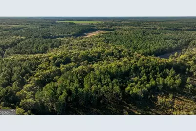 2 Scarboro Landing Road, Millen, GA 30442 - Photo 25