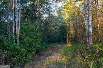 2 Old Savannah Road #TRACT 2, Millen, GA 30442 - Photo 11