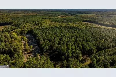 2 Old Savannah Road #TRACT 2, Millen, GA 30442 - Photo 17