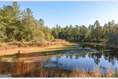 2 Scarboro Landing Road, Millen, GA 30442 - Photo 3