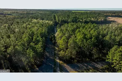 2 Old Savannah Road #TRACT 2, Millen, GA 30442 - Photo 19
