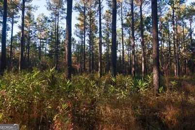 3 Old Savannah Road #TRACT 3, Millen, GA 30442 - Photo 5