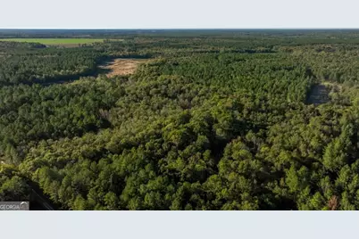 3 Scarboro Landing Road #TRACT 3, Millen, GA 30442 - Photo 21