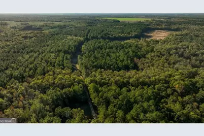3 Old Savannah Road #TRACT 3, Millen, GA 30442 - Photo 27