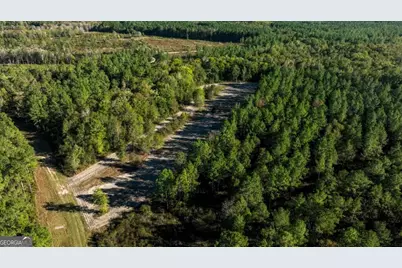 3 Old Savannah Road #TRACT 3, Millen, GA 30442 - Photo 15