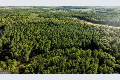 3 Scarboro Landing Road #TRACT 3, Millen, GA 30442 - Photo 17