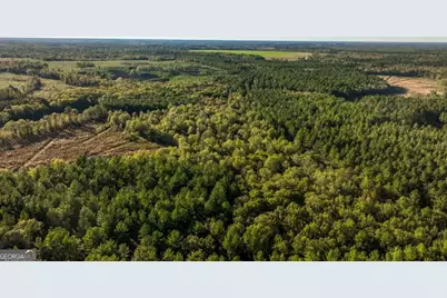3 Old Savannah Road #TRACT 3, Millen, GA 30442 - Photo 23