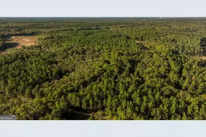 3 Old Savannah Road #TRACT 3, Millen, GA 30442 - Photo 21