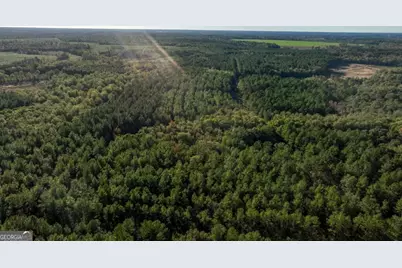 3 Old Savannah Road #TRACT 3, Millen, GA 30442 - Photo 25