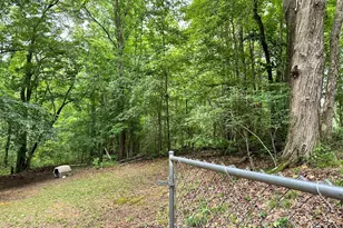162 McIntosh St, Whitesburg, GA 30185 - Photo 17
