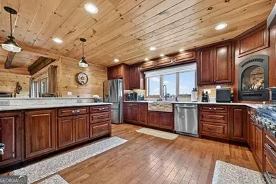384 Dean Road, Mineral Bluff, GA 30559 - Photo 31
