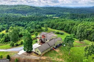 384 Dean Rd, Mineral Bluff, GA 30559 - Photo 59