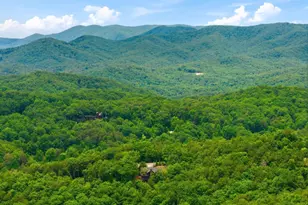 254 Leatherwood Mountain Road, Ellijay, GA 30540 - Photo 95