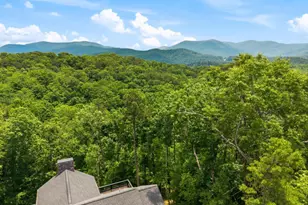 254 Leatherwood Mountain Road, Ellijay, GA 30540 - Photo 93