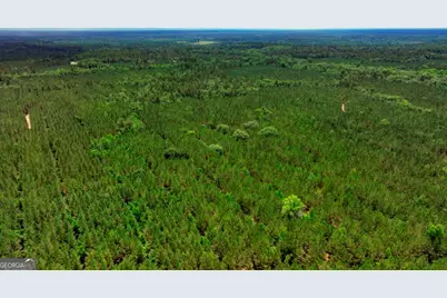 0 Highway 204 & Carlos Cowart Road, Pembroke, GA 31321 - Photo 31