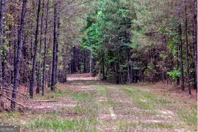 0 Highway 204 & Carlos Cowart Road, Pembroke, GA 31321 - Photo 47