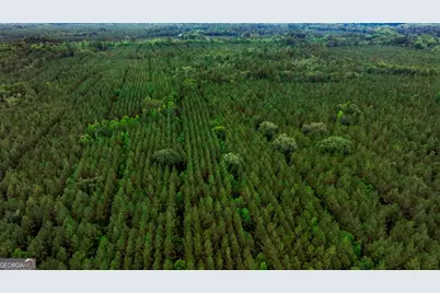 0 Highway 204 & Carlos Cowart Road, Pembroke, GA 31321 - Photo 19