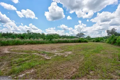 0 Highway 204 & Carlos Cowart Road, Pembroke, GA 31321 - Photo 45