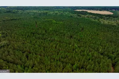 0 Highway 204 & Carlos Cowart Road, Pembroke, GA 31321 - Photo 27