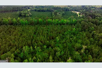 0 Highway 204 & Carlos Cowart Road, Pembroke, GA 31321 - Photo 5