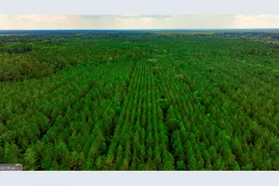 0 Highway 204 & Carlos Cowart Road, Pembroke, GA 31321 - Photo 1