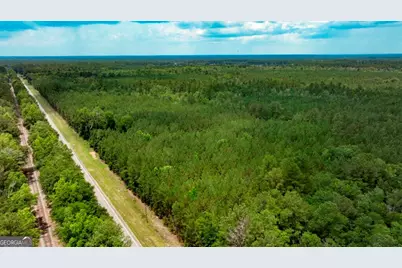 0 Highway 204 & Carlos Cowart Road, Pembroke, GA 31321 - Photo 11