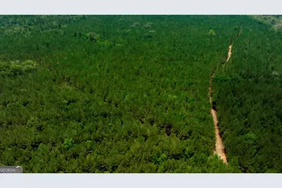0 Highway 204 & Carlos Cowart Road, Pembroke, GA 31321 - Photo 33