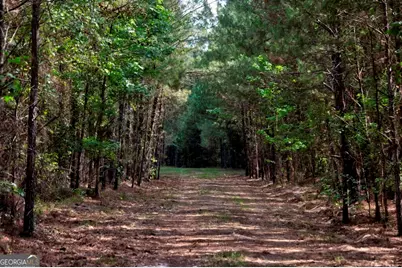 0 Highway 204 & Carlos Cowart Road, Pembroke, GA 31321 - Photo 39