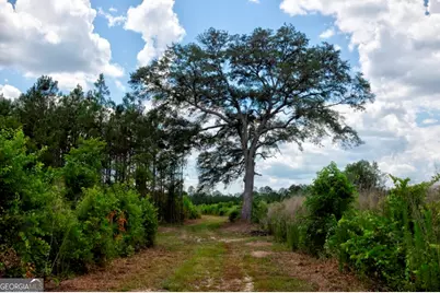0 Highway 204 & Carlos Cowart Road, Pembroke, GA 31321 - Photo 43