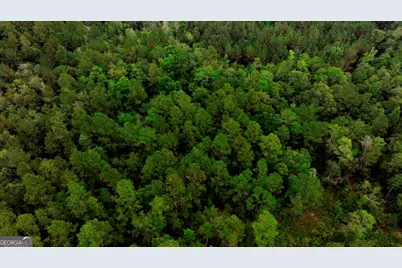 0 Highway 204 & Carlos Cowart Road, Pembroke, GA 31321 - Photo 17